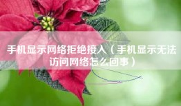 手机显示网络拒绝接入（手机显示无法访问网络怎么回事）