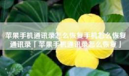 苹果手机通讯录怎么恢复手机怎么恢复通讯录「苹果手机通讯录怎么恢复」