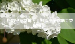 手机做电脑副屏（手机做电脑副屏会烧屏吗）