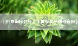 手机查询序列号（手机查询序列号官网）