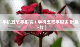 手机五笔字根表（手机五笔字根表 键盘下载）