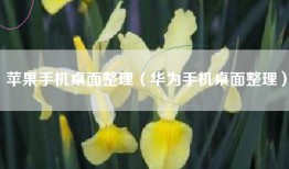 苹果手机桌面整理（华为手机桌面整理）