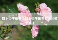 网上交手机费（网上交手机费怎么知道名字）