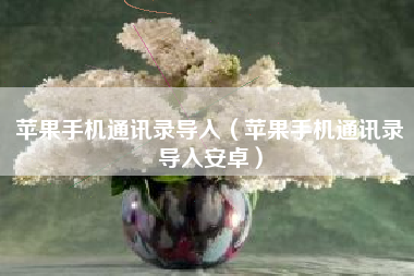 苹果手机通讯录导入（苹果手机通讯录导入安卓）