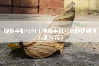 搜索手机号码（搜索手机号码能找到对方的抖音）