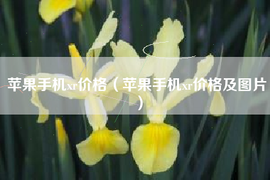 苹果手机xr价格（苹果手机xr价格及图片）