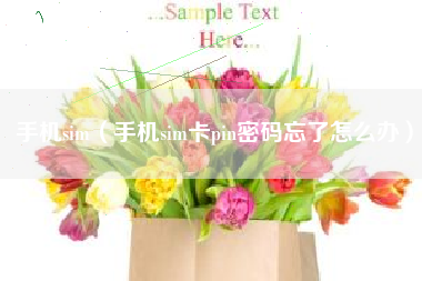 手机sim（手机sim卡pin密码忘了怎么办）